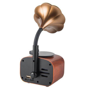 Gramophone small speaker