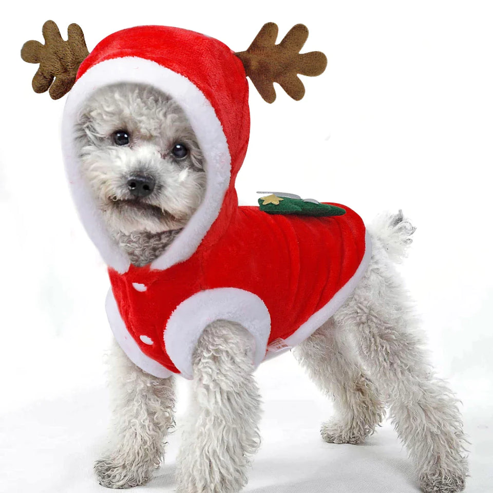 Christmas Dog Clothes Small Dogs Santa Costume
