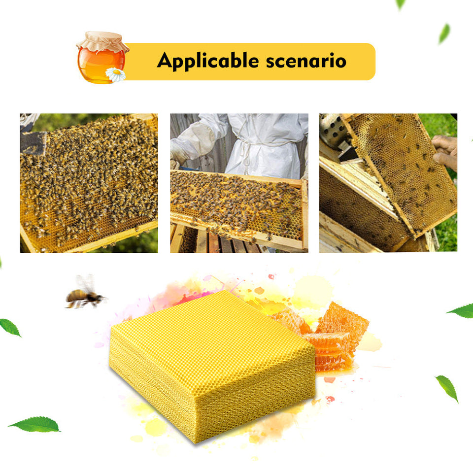 Cross-Border Foreign Trade Of Beeswax Tablets For Bees