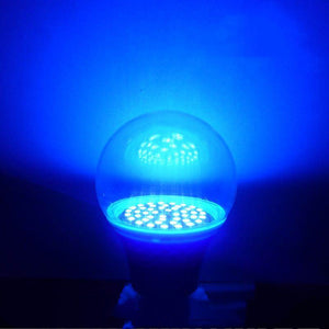 New Upgraded Indoor and Outdoor Insecticidal Lamp