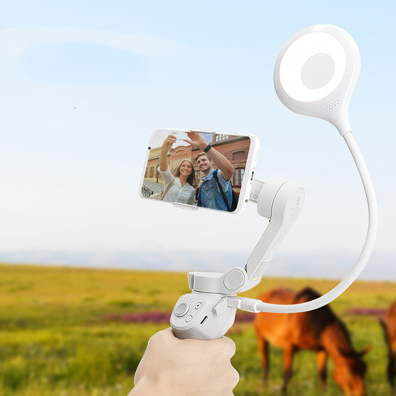 Hand-held Small Universal Fill Light Suitable for Live Broadcast and Selfie