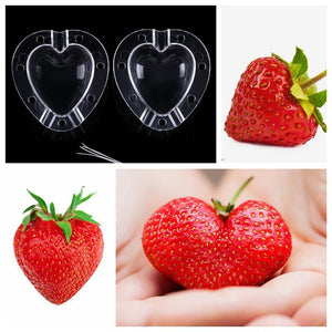 Heart shaped strawberry mould