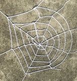 Halloween Decoration Spider Plush Spider Web