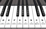 Piano Set Key Sticker Colorful Transparent