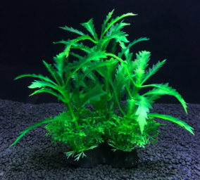 Large and small fish tank landscaping