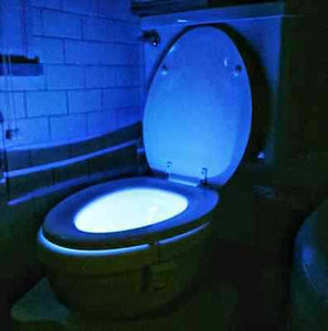 8-color LED toilet light