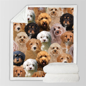 New Fashion Pet Dog Printed Flannel Blanket