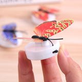 Decorative Glowing Butterfly  Creative Pasteable Night Light