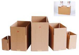 Carton box No. 12
