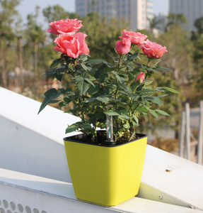 Smart absorbent plastic flower pot