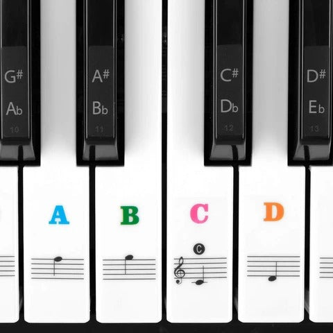 Piano Set Key Sticker Colorful Transparent