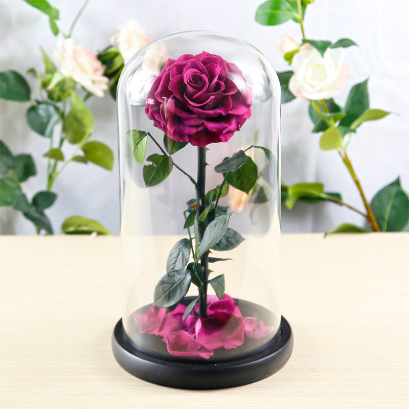 Preserved Flower Rose Finished Glass Cover Gift Box