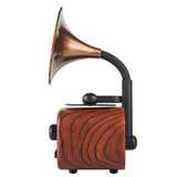 Gramophone small speaker