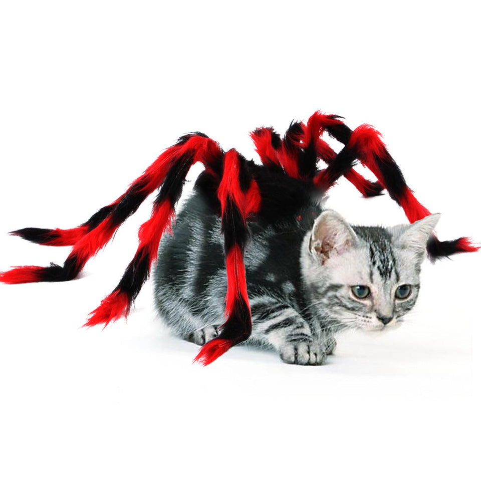Pet Cat Dog Halloween Creative Spider Costume