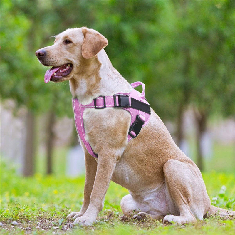 Dog vest chest strap leash