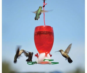 Songbird Essentials BIG RED 10 oz. HUMMINGBIRD FEEDER, #SE952, FREE USA SHIP *dm 645194775244