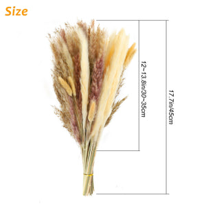 60X Pampas Grass Natural Dried Reed Flower Bunch DIY Home Wedding Decor Bouquets 600609711866
