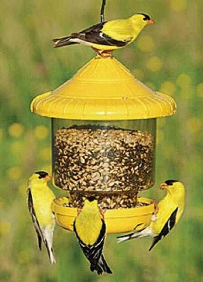 Songbird Essentials CLINGERS ONLY BIRD FEEDER (Yellow), FREE USA SHIPPING    *dm 645194701106