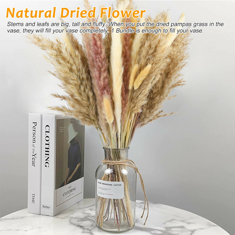 60X Pampas Grass Natural Dried Reed Flower Bunch DIY Home Wedding Decor Bouquets 600609711866